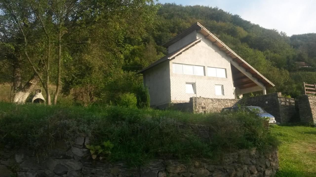 Дома для отпуска Casa din Poiana Săcărîmbu-13