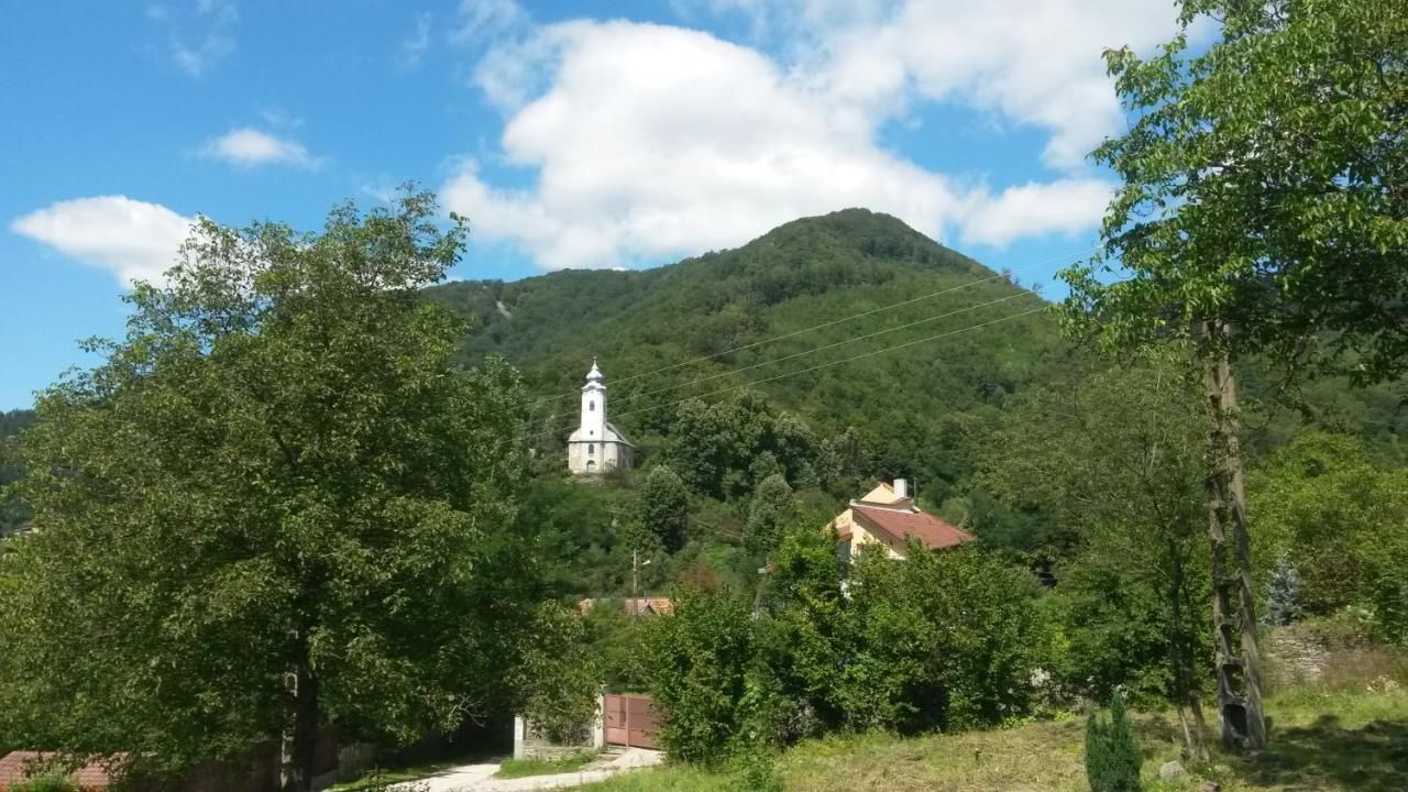 Дома для отпуска Casa din Poiana Săcărîmbu